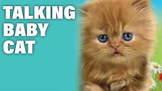 Talking baby cat 😿 Talking game for kids (😢Poor kitty!!! .. Watch him suffer😂) - Please ❤SUBSCRIBE❤ screenshot 4