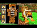 HO CREATO L'ARMATURA DELLA TIGRE SU MINECRAFT - TIMECRAFT ITA