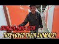 They Loved Their Animals! | Storage Unit Unboxing For Resale