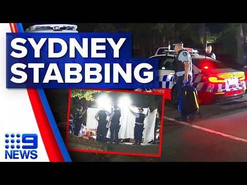 Man released on bail after being charged for allegedly stabbing neighbour | 9 news australia