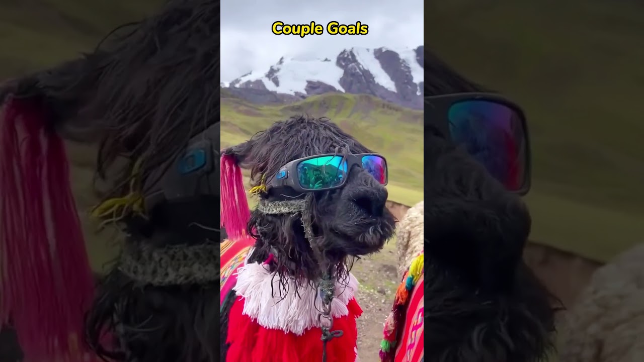 Couple Goals at Northern Pakistan - Tour 2023 - Tourism Pakistan