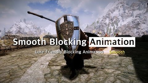 SKYRIM Lore Friendly Blocking Animation / 스카이림 로어 프렌들리 방어 모션