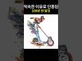 뭔가 익숙한 이유로 단종된 100년 전의 탈것 ㄷㄷ;;