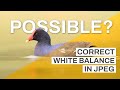 Can You Correct White Balance in JPEG? RMSE Calculations, Analysis