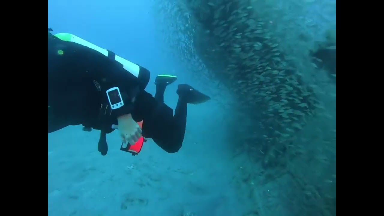 Blue Crew Divers: Diving a U-352
