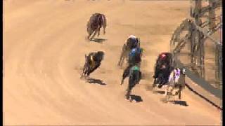 Gawler-05012016-Race-8