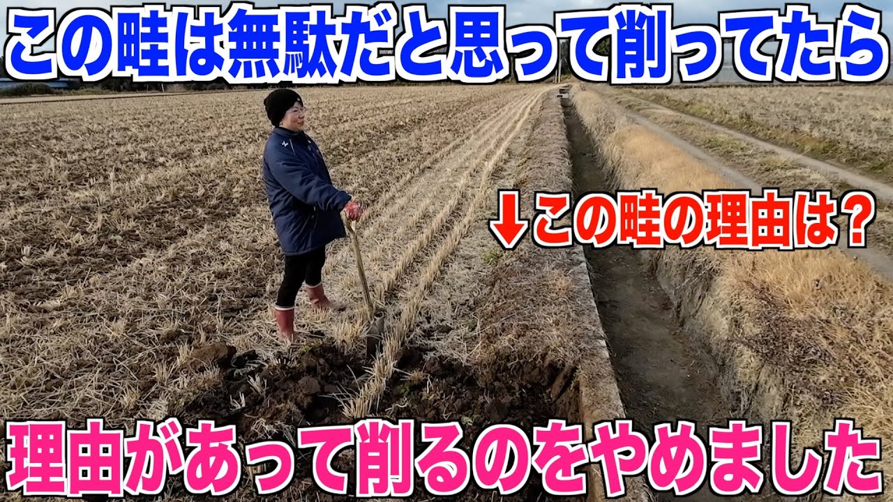 【畦を削る】田んぼの畦を崩してたら理由があってやめました 30代米作り奮闘記#320 - YouTube