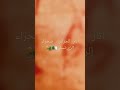 أثار الجزائر إليزي