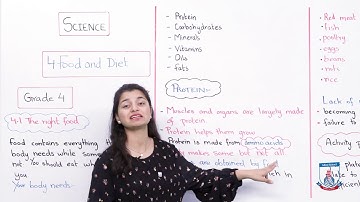 Class 4 - Science - Chapter 04 - Lecture 34 Food and Diet 3.1 - Allied Schools