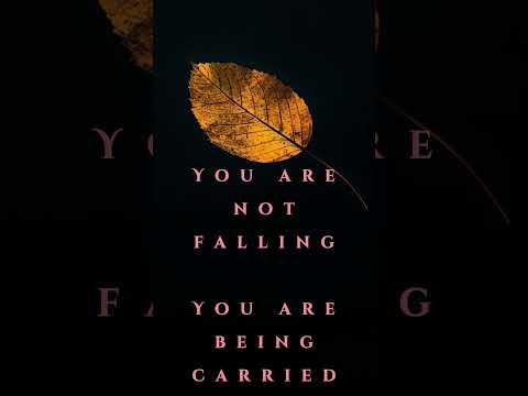Trust Carries You