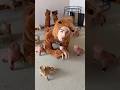部屋に閉じ込められていた愛犬を助け出した飼い主を見て涙を流した