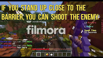 Mineplex Block Hunt - Mesa Village (Infestor Spot)