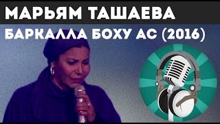 МАРЬЯМ ТАШАЕВА - БАРКАЛЛА БОХУ АС (2016) / Чеченская песня | WayFun