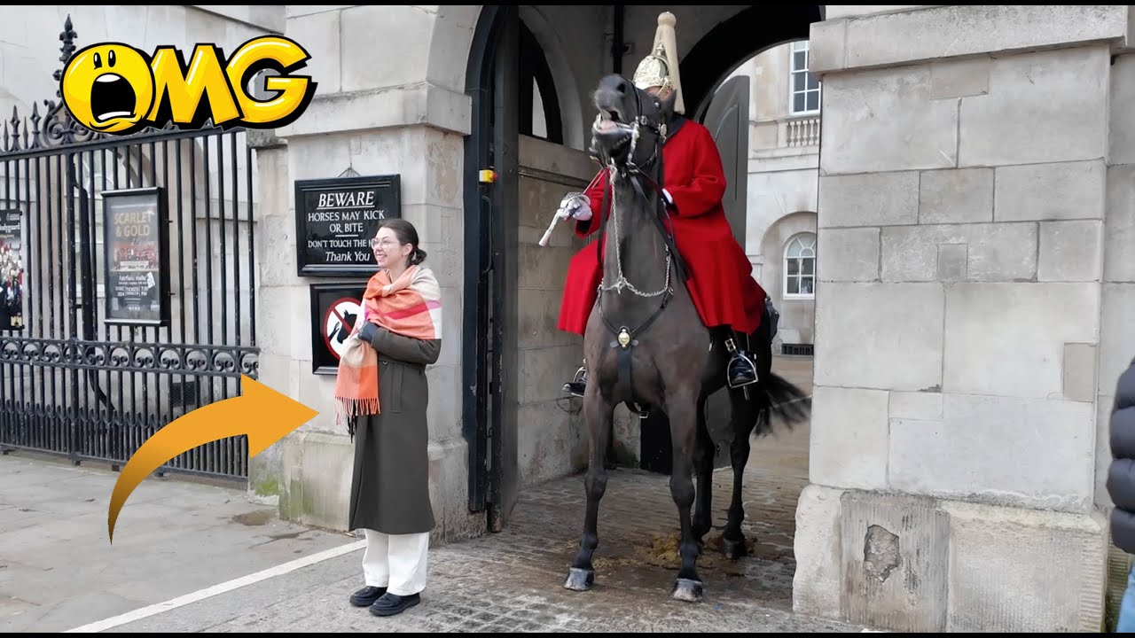 OMG‼️ Watch as She Walks Straight to the Horse. Guard Warns her 3 TIMES ‼️