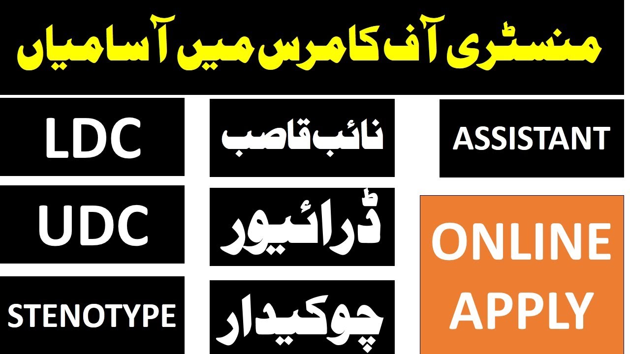 ministry-of-commerce-jobs-2022-latest-advertisim-in-ministry-of