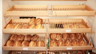 Plexus   Chu Bakery Promo v3 1
