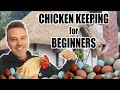 Raising backyard chickens  beginners guide