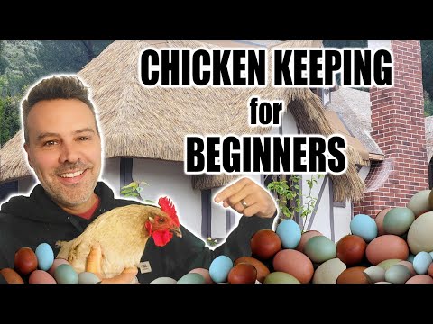 Video: 5 Ways to Raise Chickens