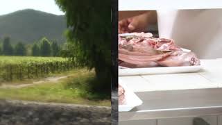 TITULARES AGRONOTICIAS sie7e PROGRAMA 260