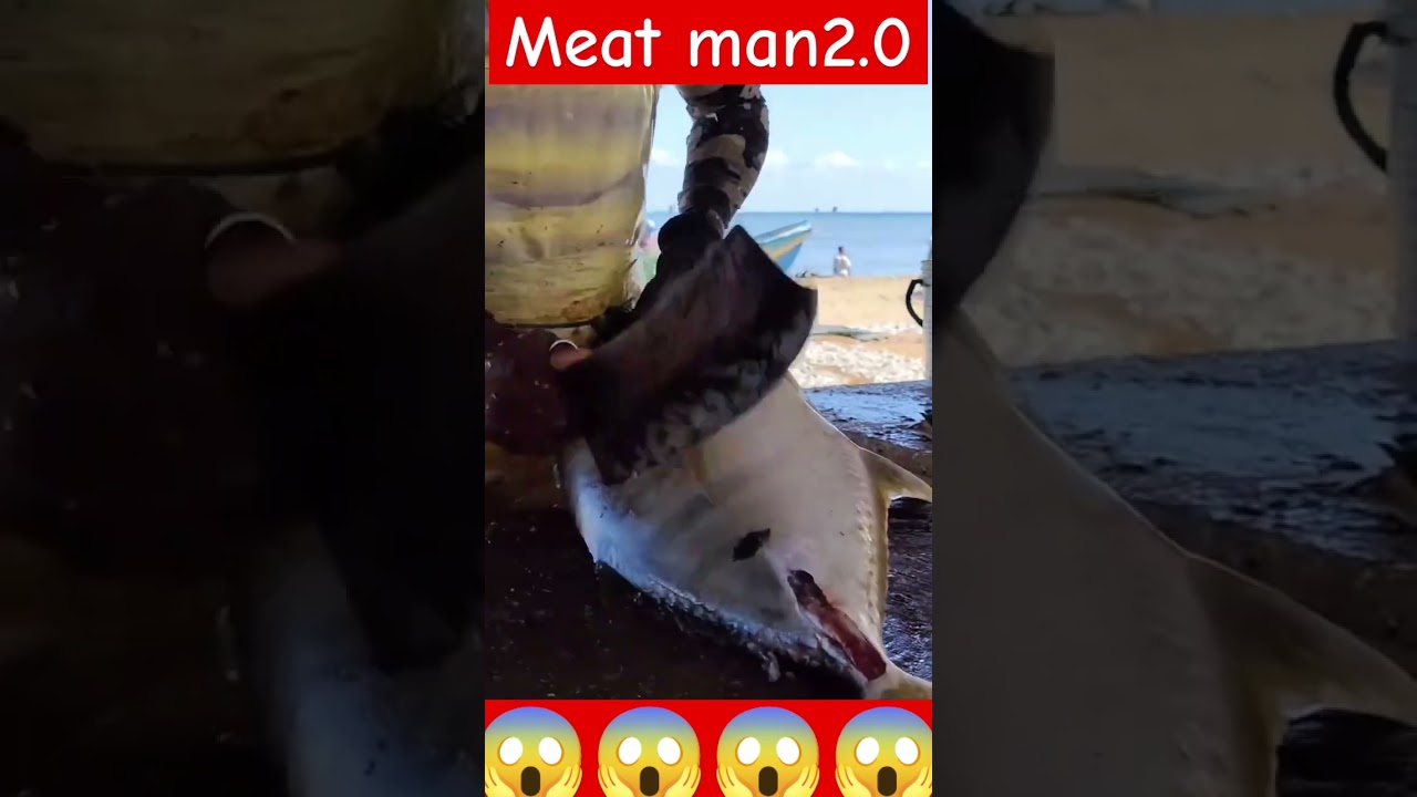 Big size Golden trevally fish cutting meat skills 🐟🤔