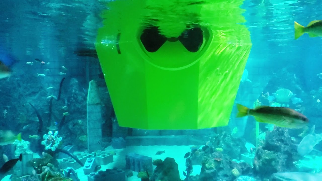 レゴランドの障害者割引 金城ふ頭駐車場 の障害者割引料金 レゴランド ハロウィンナイト 就労多機能型事業所 Yell津島 協力会社募集