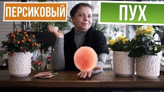 Посадите эти цветы на участке ☘ Цвет года  персиковый пух