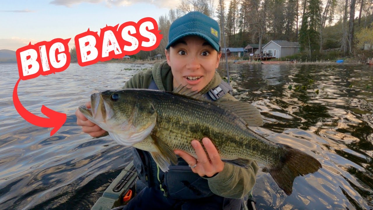 BIG Bass Fishing