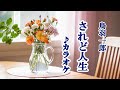 「されど人生」鳥羽一郎 カラオケ 2023年1月11日発売