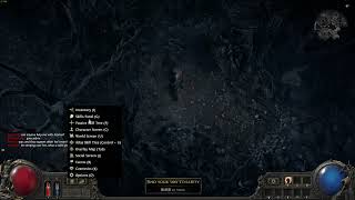 POE 2: How to Check DPS Details