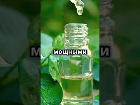 Масло чайного дерева Лечение себорейного дерматита