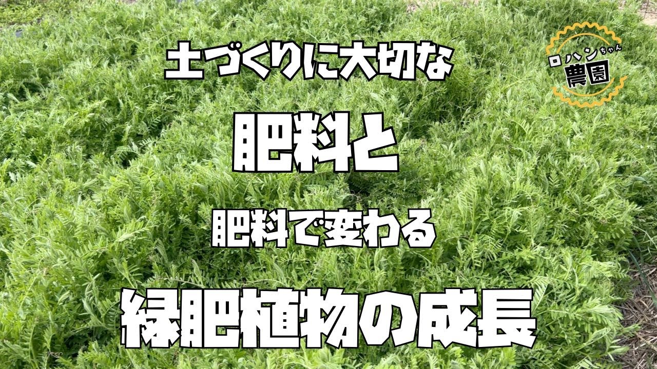 Too much or too little is no good! How to apply fertilizer [soil