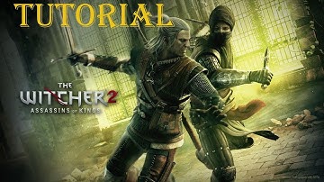 The Witcher 2: Assassin