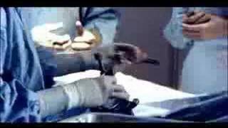 Brad Yates Straub Commercial