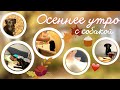 МОЁ ИДЕАЛЬНОЕ ОСЕННЕЕ УТРО! 🍁🍂 ПРОГУЛКА С СОБАКОЙ 🐕❤