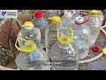 Introducing Compostable Bagasse Bottles – Now Available in the UK Sustainable Packaging by Sinhalite