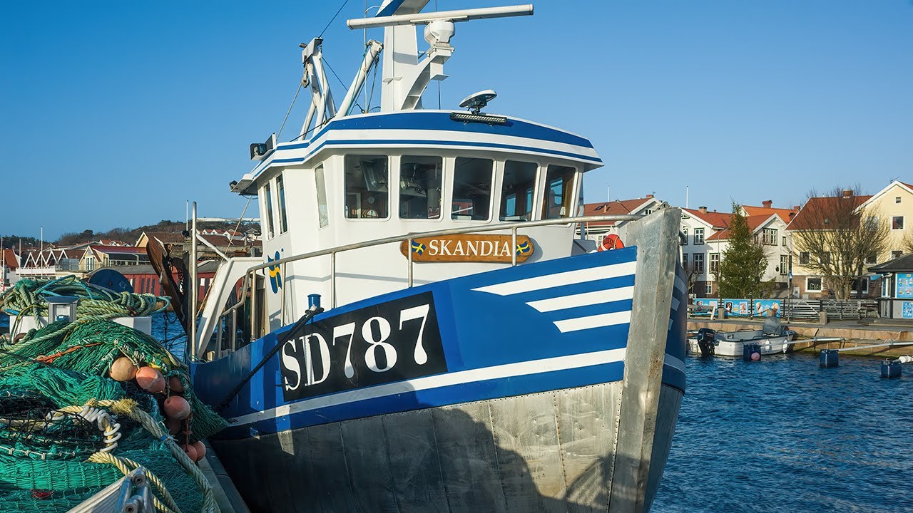 Fiskebåtar inblåsta Grebbestad