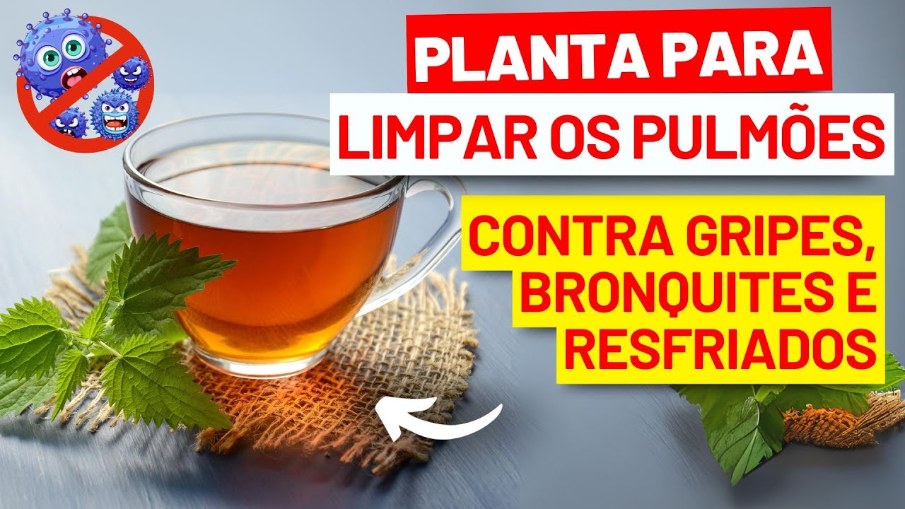 Planta para LIMPAR OS PULMÕES! Chá para Gripes, Resfriados e Bronquite ...
