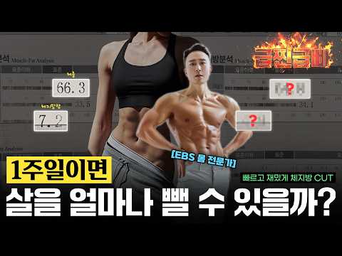 "자면서도 살 빠집니다" 하루 10분 ‘이 동작’ 50개면 됩니다 [층간소음❌ 왕초보⭕️]