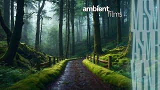 Calming Rain :: Afternoon in Nottingham Forest, England [ ASMR ] by Ambient Films ::::::: 64 views 2 weeks ago 40 minutes