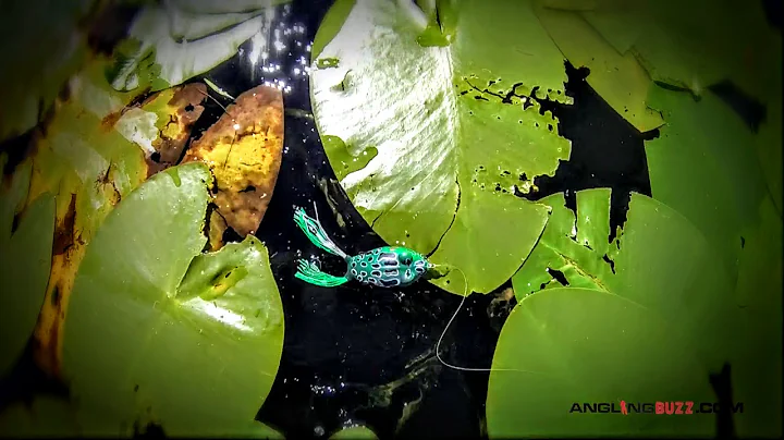 Frog Fishing 101 - Bass Fishing Tips