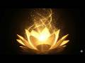 1111Hz Energy Cleanse | Manifest Prosperity &amp; Inner Balance #001