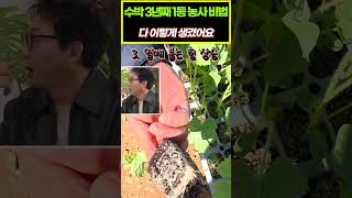 #수박 #토생수 #밭만들기 #대박농사 #시골장