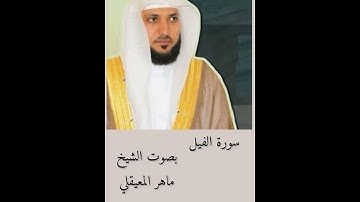 سورة الفيل / بصوت الشيخ ماهر المعيقلي
