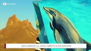 La vista al mar más espectacular del mundo en Sonora, México | México Travel Channel