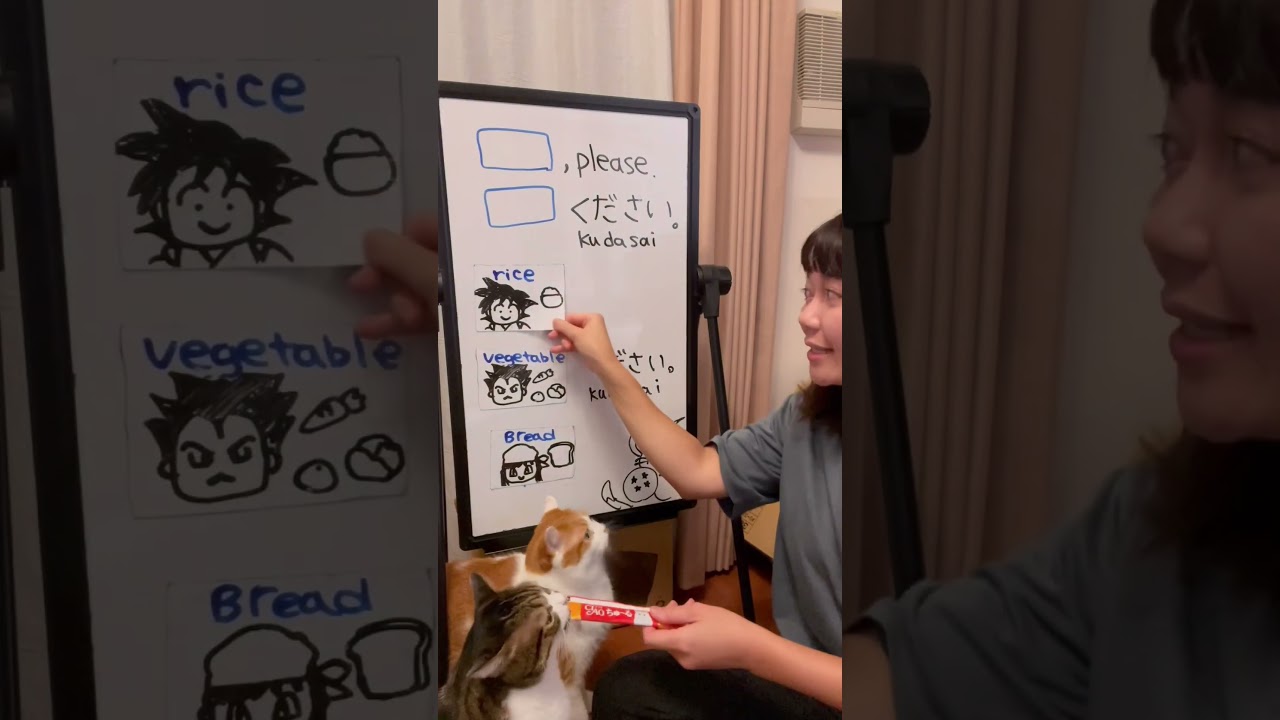 How to order in Japanese 🍚 