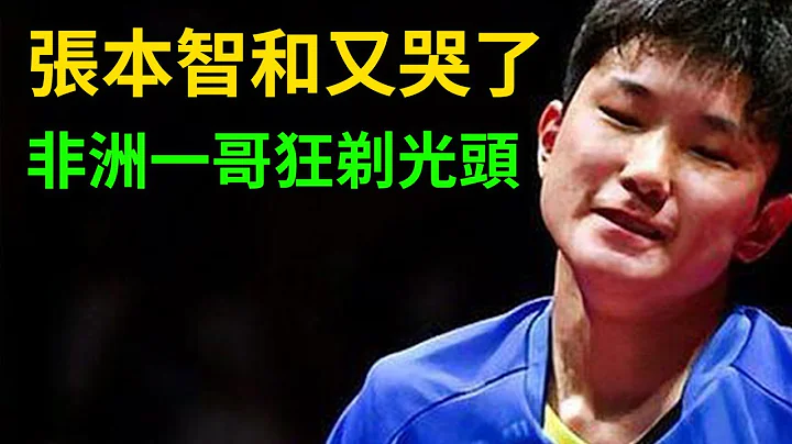 張本智和又哭了！居然被非洲一哥剃光頭！張本智和vs阿魯納！阿魯納連教練都沒有！今晚張本智和夢裡全都是阿魯納給他剃頭！WTT新加坡大滿貫！#張本智和 #阿魯納 #WTT新加坡大滿貫 - 天天要聞