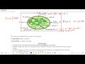 Life Sciences Grade 11 Photosynthesis Explained Term 2 Revision