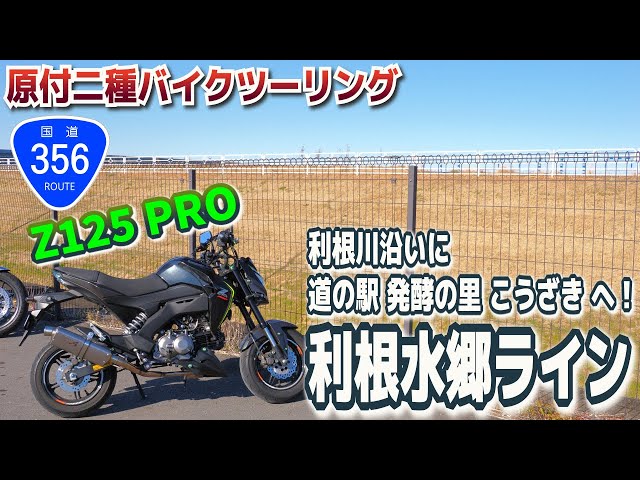 利根川】利根水郷ライン ツーリング【Z125 PRO】 - YouTube