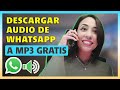 ¿Te envían audios de WhatsApp y no sabes cómo descargarlos a MP3?