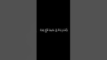 راحه نفسيه قران كريم بصوت الشيخ محمد ايوب ❤️🕋